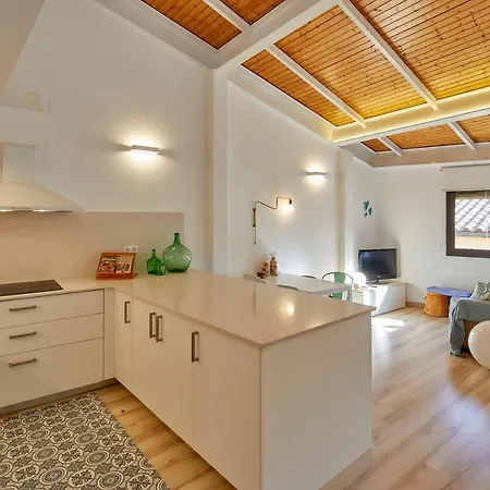 Apartment Duplex Rei Marti Girona