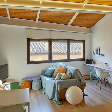 Apartment Duplex Rei Marti Girona